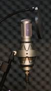 Brauner VMX